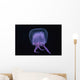 Hawaii, Pink Jellyfish, black background Wall Mural