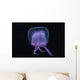 Hawaii, Pink Jellyfish, black background Wall Mural