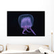 Hawaii, Pink Jellyfish, black background Wall Mural