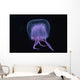 Hawaii, Pink Jellyfish, black background Wall Mural