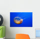 The compass jellyfish, Chrysaora hysoscella, Shot from an aquarium Wall Mural