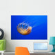 The compass jellyfish, Chrysaora hysoscella, Shot from an aquarium Wall Mural