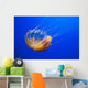 The compass jellyfish, Chrysaora hysoscella, Shot from an aquarium Wall Mural