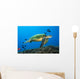 Hawaii, Green Sea Turtle swimming in the Pacific Ocean Wall Mural