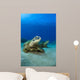 Hawaii, West Maui, Pair of Green Sea Turtles on the ocean floor Wall Mural