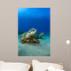 Hawaii, West Maui, Pair of Green Sea Turtles on the ocean floor Wall Mural