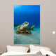 Hawaii, West Maui, Pair of Green Sea Turtles on the ocean floor Wall Mural