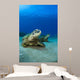 Hawaii, West Maui, Pair of Green Sea Turtles on the ocean floor Wall Mural