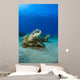 Hawaii, West Maui, Pair of Green Sea Turtles on the ocean floor Wall Mural