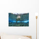 Hawaiian monk seal over reef, nr surface w/ refelctions Wall Mural