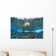 Hawaiian monk seal over reef, nr surface w/ refelctions Wall Mural