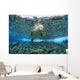 Hawaiian monk seal over reef, nr surface w/ refelctions Wall Mural