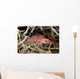 Longnose Hawkfish deep inside a tree of black coral Wall Mural