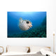 Hawaii, Maui, Spotted Porcupinefish swims along the ocean floor Wall Mural