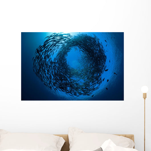 Schooling bigeye jacks above the liberty wreck Wall Mural