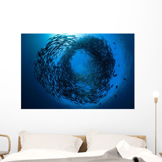 Schooling bigeye jacks above the liberty wreck Wall Mural