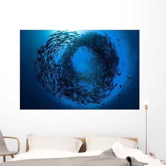Schooling bigeye jacks above the liberty wreck Wall Mural