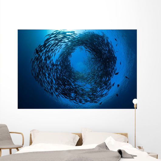 Schooling bigeye jacks above the liberty wreck Wall Mural
