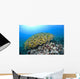 Hawaii, School of Bluestripe Snapper on the ocean floor Wall Mural