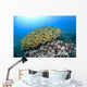 Hawaii, School of Bluestripe Snapper on the ocean floor Wall Mural