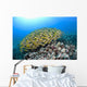 Hawaii, School of Bluestripe Snapper on the ocean floor Wall Mural