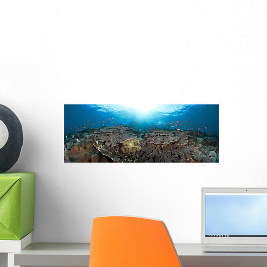 schooling anthias in a reef panorama Wall Mural