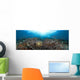 schooling anthias in a reef panorama Wall Mural