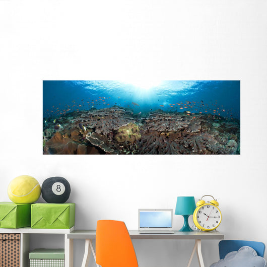schooling anthias in a reef panorama Wall Mural