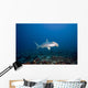 Scalloped Hammerhead shark swimming on the ocean floor Wall Mural