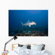 Scalloped Hammerhead shark swimming on the ocean floor Wall Mural