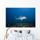 Scalloped Hammerhead shark swimming on the ocean floor Wall Mural