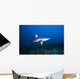 Hawaii, Molokai, Grey reef shark swimming below Mokuhooniki Rock Wall Mural