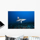 Hawaii, Molokai, Grey reef shark swimming below Mokuhooniki Rock Wall Mural