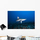 Hawaii, Molokai, Grey reef shark swimming below Mokuhooniki Rock Wall Mural