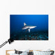 Hawaii, Molokai, Grey reef shark swimming below Mokuhooniki Rock Wall Mural