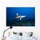 Hawaii, Molokai, Grey reef shark swimming below Mokuhooniki Rock Wall Mural