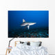 Hawaii, Molokai, Grey reef shark swimming below Mokuhooniki Rock Wall Mural