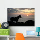 Hawaii, Big Island, horse at North Kohala Ranch at Sunset Wall Mural