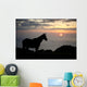 Hawaii, Big Island, horse at North Kohala Ranch at Sunset Wall Mural