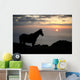 Hawaii, Big Island, horse at North Kohala Ranch at Sunset Wall Mural