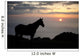 Hawaii, Big Island, horse at North Kohala Ranch at Sunset Wall Mural
