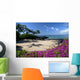 Hawaii, Maui, Makena, Bougainvillea flowers at secret beach Wall Mural