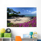 Hawaii, Maui, Makena, Bougainvillea flowers at secret beach Wall Mural