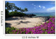 Hawaii, Maui, Makena, Bougainvillea flowers at secret beach Wall Mural