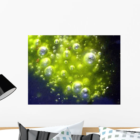 Magic Wall Decal