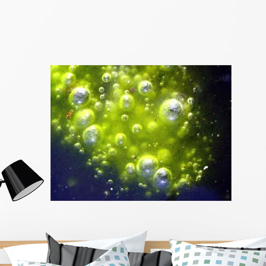 Magic Wall Decal