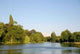 Bois Vincennes Wall Decal