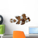 Harlequin Sweetlips Fish Plectorhynchus Wall Decal