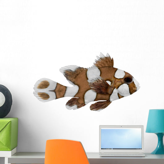 Harlequin Sweetlips Fish Plectorhynchus Wall Decal