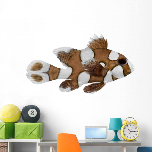 Harlequin Sweetlips Fish Plectorhynchus Wall Decal